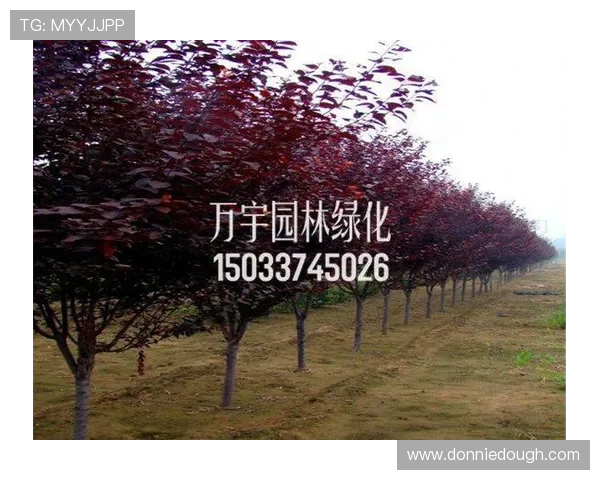 letou乐投平台安全可靠,保障玩家资金与信息安全,值得信赖的线上博彩选择 letou乐投平台安全可靠,保障玩家资金与信息安全,值得信赖的线上博彩选择