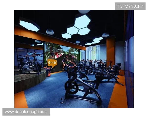 乐动体育app评价：功能优缺点详细解析与用户反馈总结